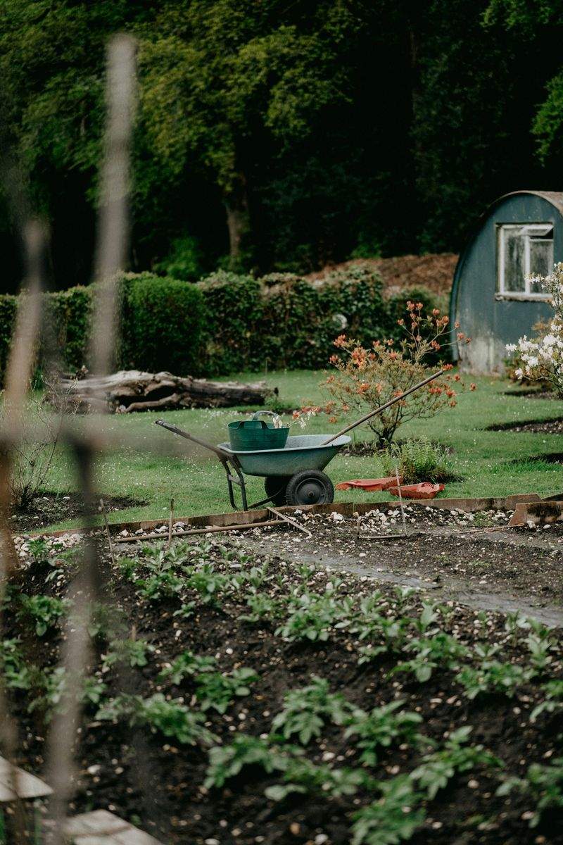 Jardins & Paysages de France 3