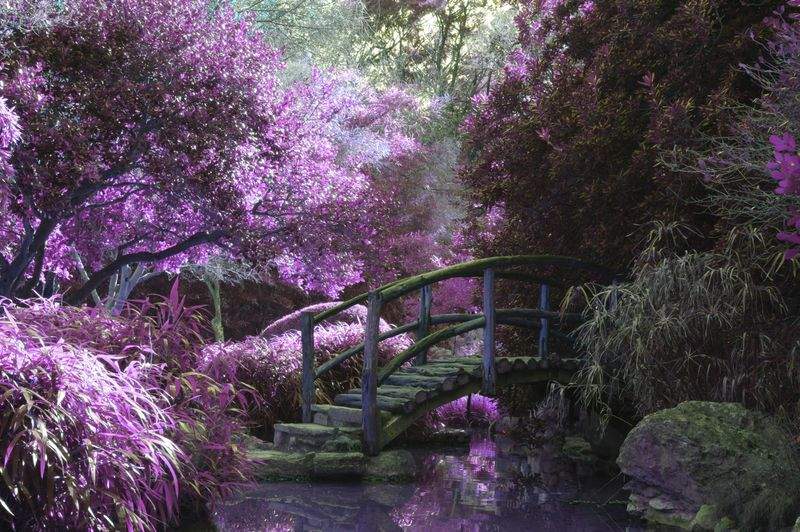 Jardins & Paysages de France