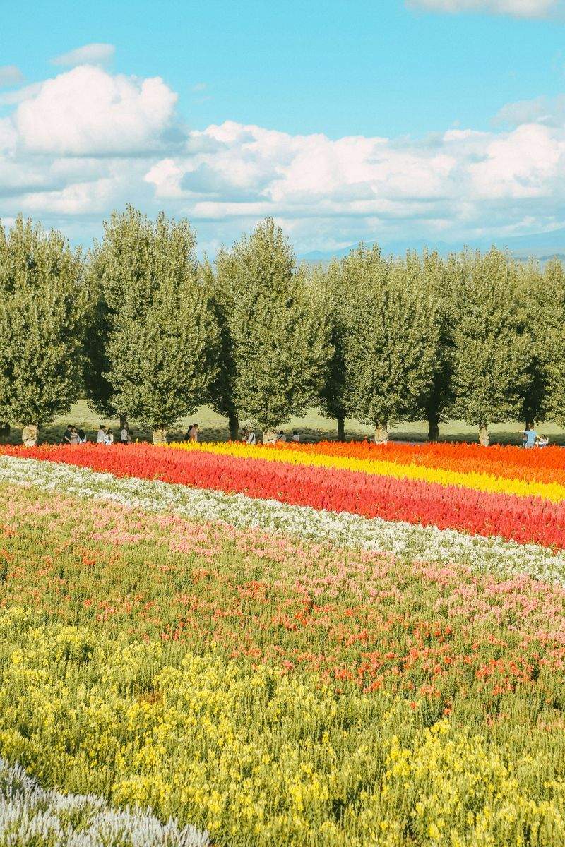 Entretien saisonnier des jardins